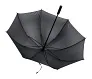 Maximus umbrella