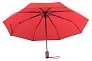 Nubila umbrella
