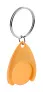 Nelly trolley coin keyring