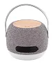 Lumifi charger bluetooth speaker