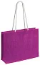 Zylta beach bag