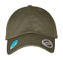  Ecowash Dad Cap - Flexfit