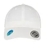  Ecowash Dad Cap - Flexfit