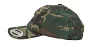  Low Profile Camo Washed Cap - Flexfit