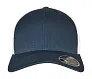  110 Mesh 2-Tone Cap - Flexfit