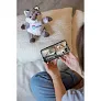 Wildore Plush wolf