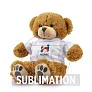 Denis R RPET plush teddy bear