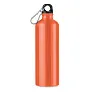 BIG MOSS aluminijska boca 750ml