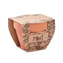 MINT POT Terracotta pot mint seeds