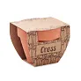 CRESS POT Terracotta pot cress seeds