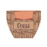CRESS POT Terracotta pot cress seeds