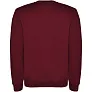Clasica unisex sportski pulover - Roly