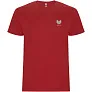 Stafford short sleeve kids t-shirt - Roly