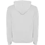 Urban men's hoodie - Roly