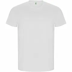 short sleeve men's t-shirt - Roly