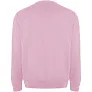 Batian unisex pulover od organskog pamuka - Roly