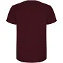 Stafford short sleeve kids t-shirt - Roly