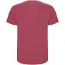 Stafford short sleeve kids t-shirt - Roly