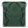 SHOOPPET Drawstring 190T RPET
