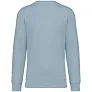 DRIFTER unisex pullover - Native Spirit