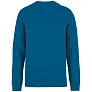 DRIFTER unisex pullover - Native Spirit