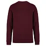 DRIFTER unisex pullover - Native Spirit