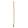  Pencil, pine seeds