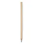  Pencil, pine seeds