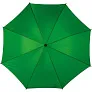  Automatic umbrella