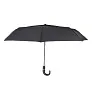 COLINTON umbrella