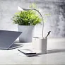  Višenamjenska stolna lampa od pšenične slame
