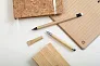 Rapyrus inkless pen