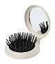 Webrush mirror with hairbrush