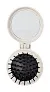 Webrush mirror with hairbrush
