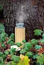  Leak proof bamboo vacuum bottle - XD Collection