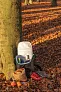  Explorer portable outdoor cooler bag - XD Collection