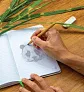  Tree free infinity pencil - XD Collection