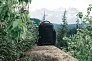  Swiss Peak AWARE™ XXL weekend travel backpack - Swiss Peak