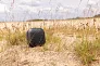 Soundbox 3W bežični zvučnik od RCS reciklirane plastike - XD Collection