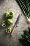  VINGA Hattasan Damascus Santoku nož - Vinga