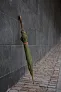  VINGA Bosler AWARE™ recycled pet 23" umbrella - Vinga