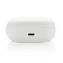 Urban Vitamin Gilroy hybrid ANC and ENC earbuds - Urban Vitamin