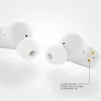 Urban Vitamin Gilroy hybrid ANC and ENC earbuds - Urban Vitamin