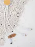  RCS Ontario 6u1 kabel od reciklirane plastike - XD Collection