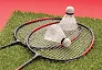  Badminton set - XD Collection