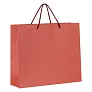 IRIS Paper bag