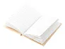 Carya notes