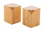 Kerala salt and pepper shaker set