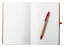 Ginkgo notebook