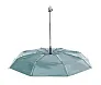 Cirros umbrella
